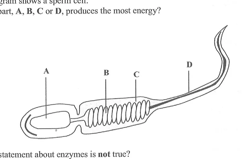 Diagram for Biology Paper 1 June 2020 Question 8