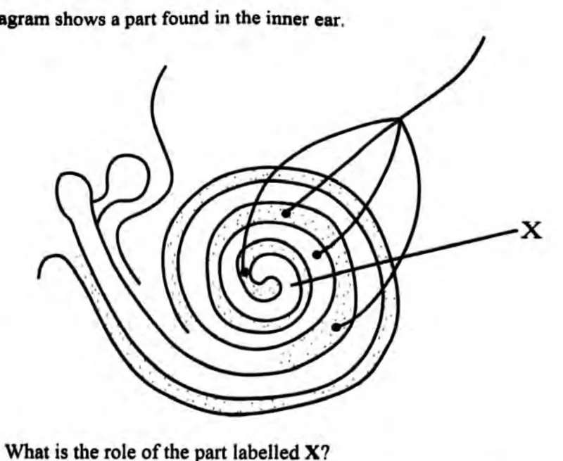Diagram for Biology Paper 1 June 2023 Question 22