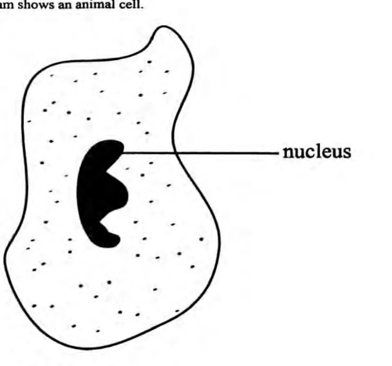 Diagram for Biology Paper 1 June 2023 Question 7