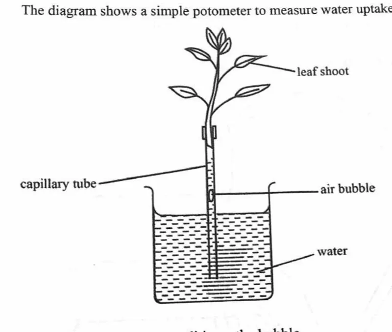 Diagram for Biology Paper 1 November 2023 Question 10
