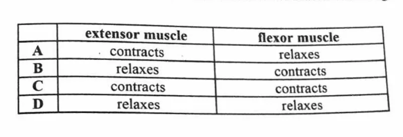Diagram for Biology Paper 1 November 2023 Question 25