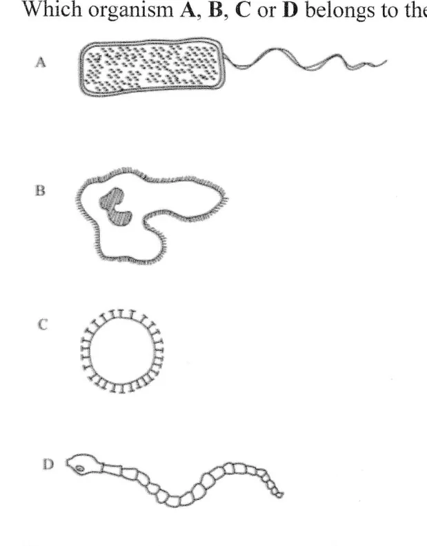 Diagram for Biology Paper 1 June 2024 Question 33
