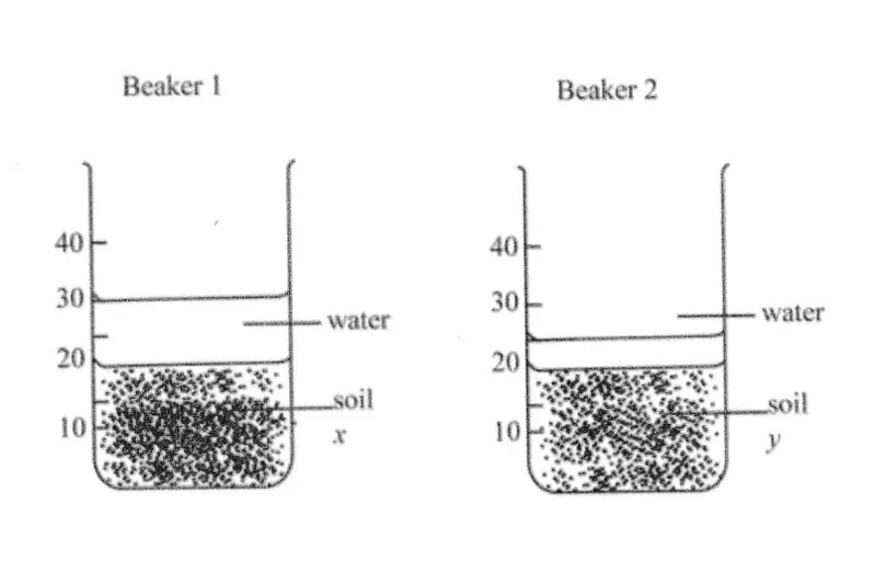 Diagram for Biology Paper 1 June 2024 Question 36