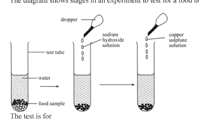 Diagram for Biology Paper 1 June 2024 Question 4
