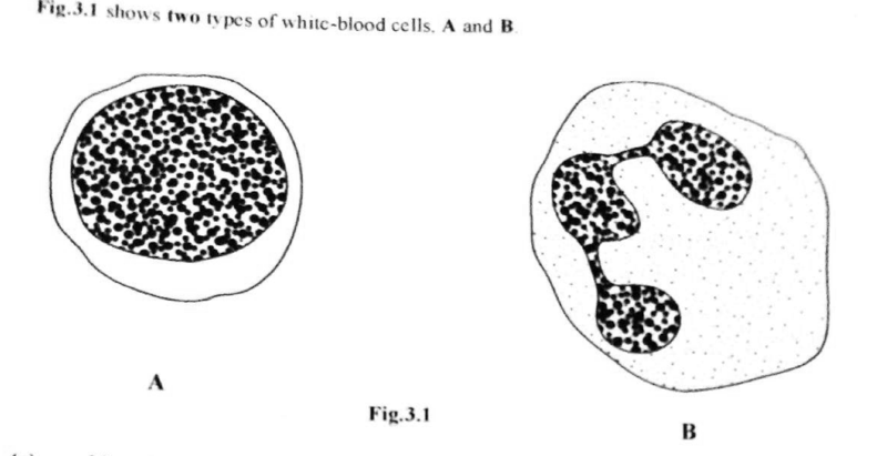 White blood cells, plasma and platelets - ZIMSEC Biology past paper diagram