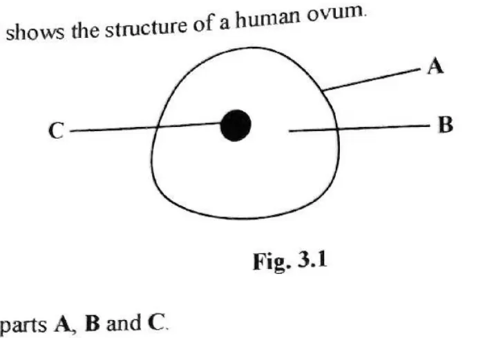 Diagram for Biology Paper 2 November 2019 Question 301