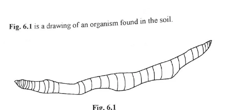 Soil organisms and soil conservation - ZIMSEC Biology past paper diagram