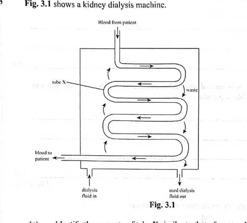 Diagram for Biology Paper 2 November 2022 Section A, Question 3