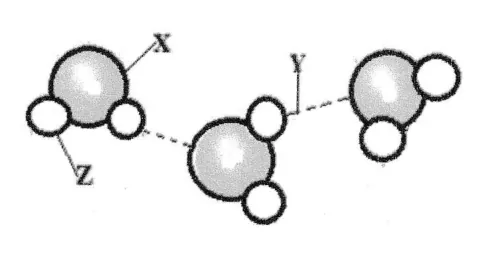 Chemicals of life - ZIMSEC Biology past paper diagram