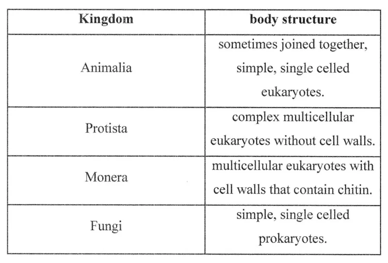 Diagram for Biology Paper 2 June 2024 Section B, Question 13