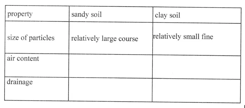 Diagram for Biology Paper 2 June 2024 Section A, Question 11