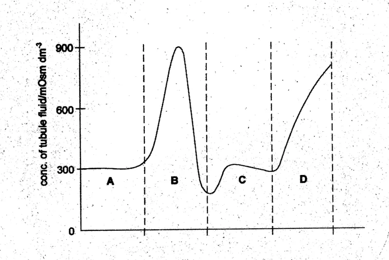 Diagram for Biology Paper 1 November 2003 Question 28