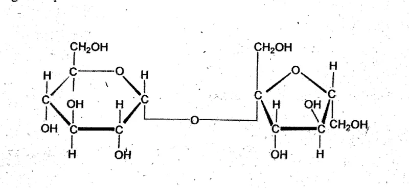 Diagram for Biology Paper 1 November 2003 Question 5