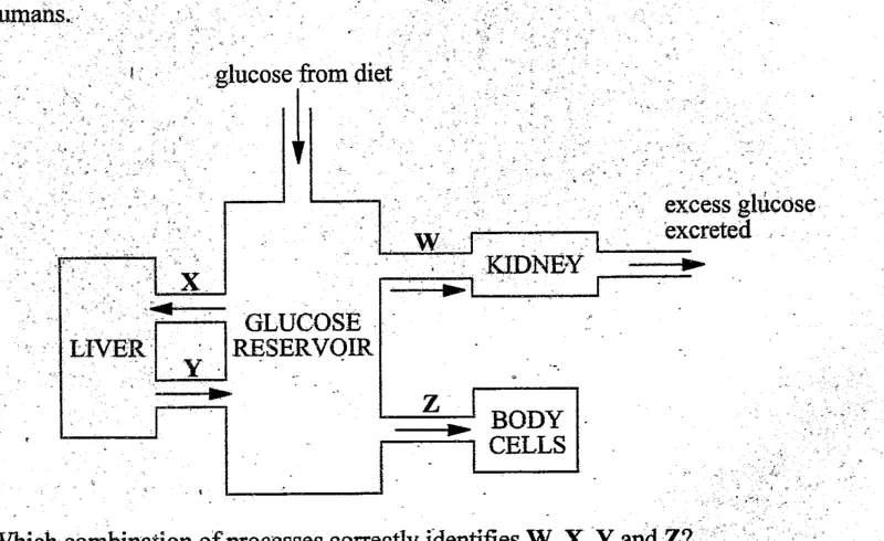 Diagram for Biology Paper 1 June 2004 Question 27