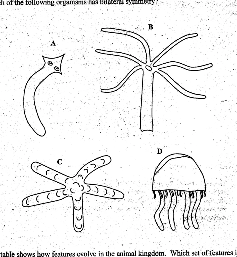 Diagram for Biology Paper 1 June 2004 Question 39