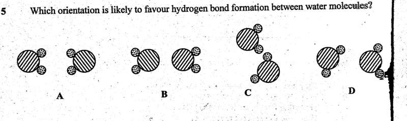 Diagram for Biology Paper 1 June 2004 Question 5