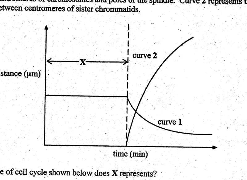 Diagram for Biology Paper 1 November 2004 Question 10