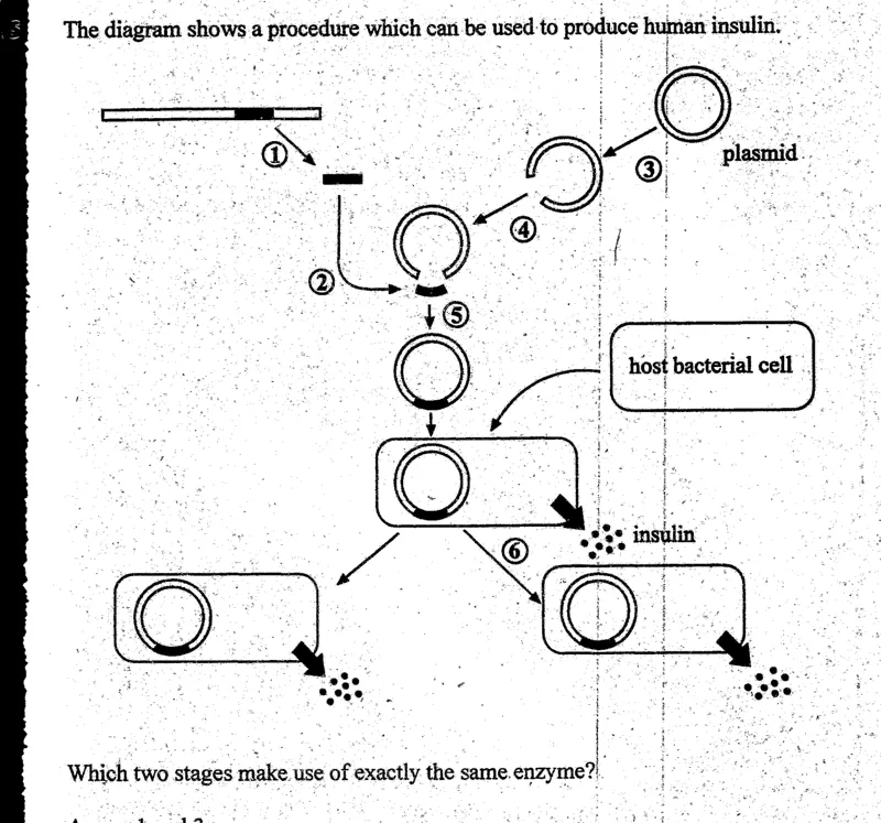 Diagram for Biology Paper 1 November 2004 Question 15
