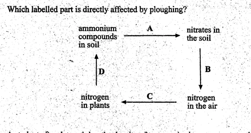 Diagram for Biology Paper 1 November 2004 Question 31