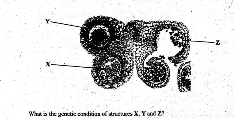 Diagram for Biology Paper 1 November 2004 Question 35