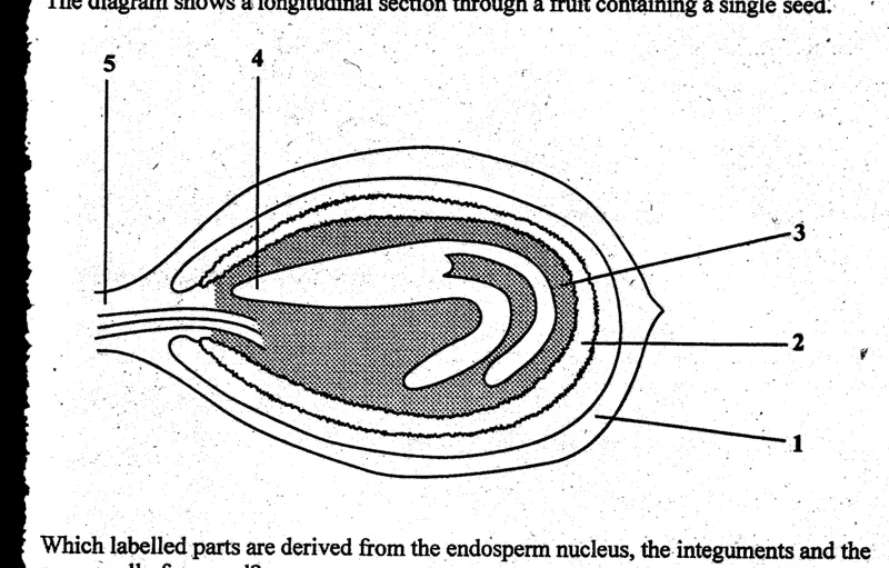 Diagram for Biology Paper 1 November 2004 Question 36
