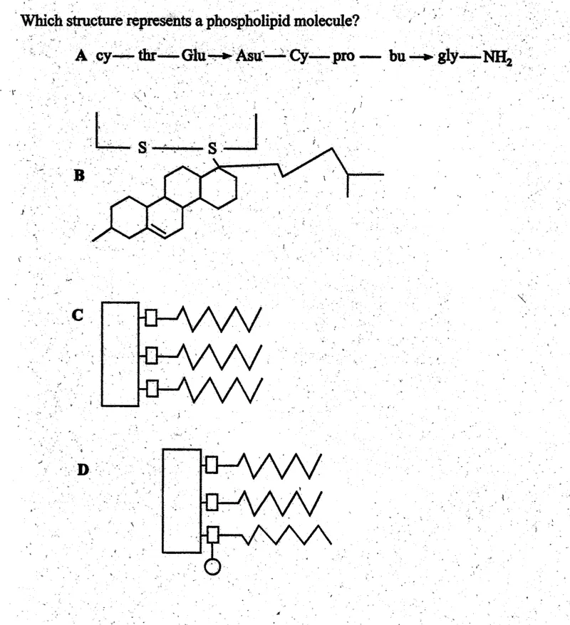 Diagram for Biology Paper 1 November 2004 Question 6