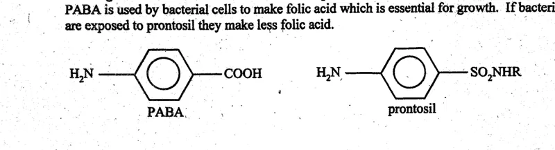 Diagram for Biology Paper 1 November 2004 Question 7