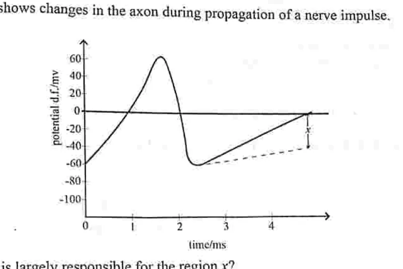 Diagram for Biology Paper 1 November 2022 Question 26