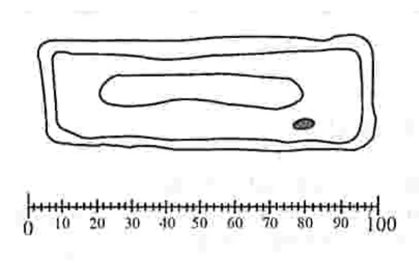 Diagram for Biology Paper 1 November 2022 Question 3