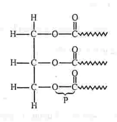 lipids - ZIMSEC Biology past paper diagram
