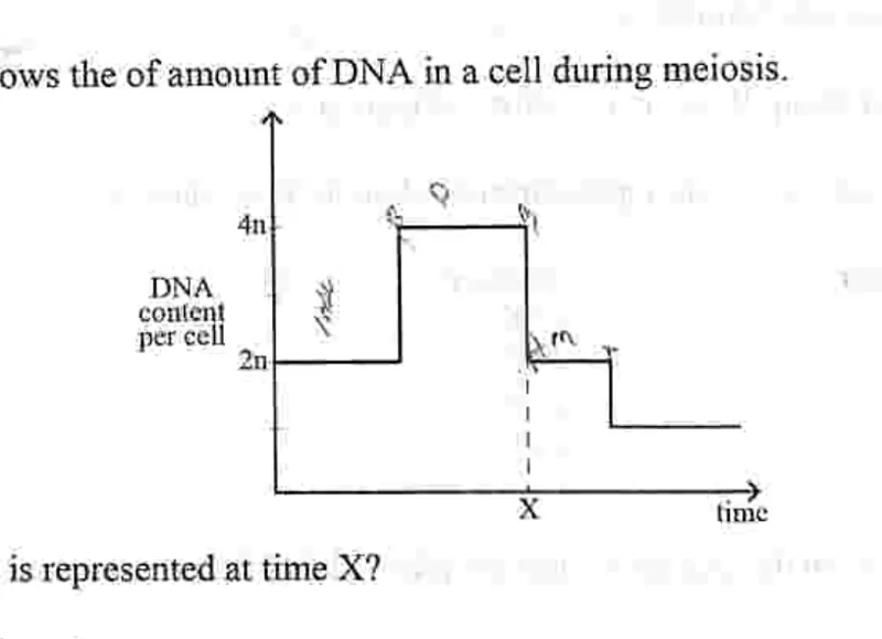 Diagram for Biology Paper 1 November 2022 Question 8