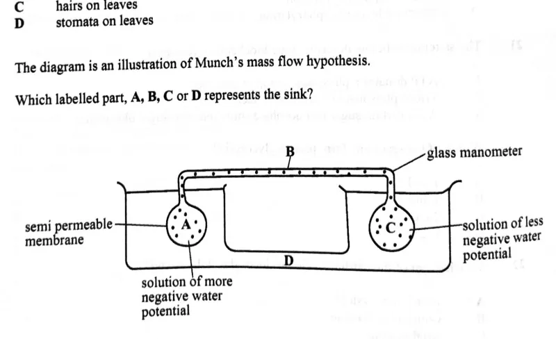 Diagram for Biology Paper 1 November 2023 Question 24