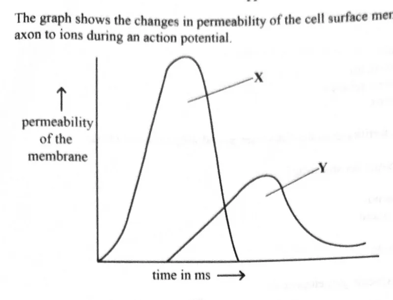 Diagram for Biology Paper 1 November 2023 Question 32
