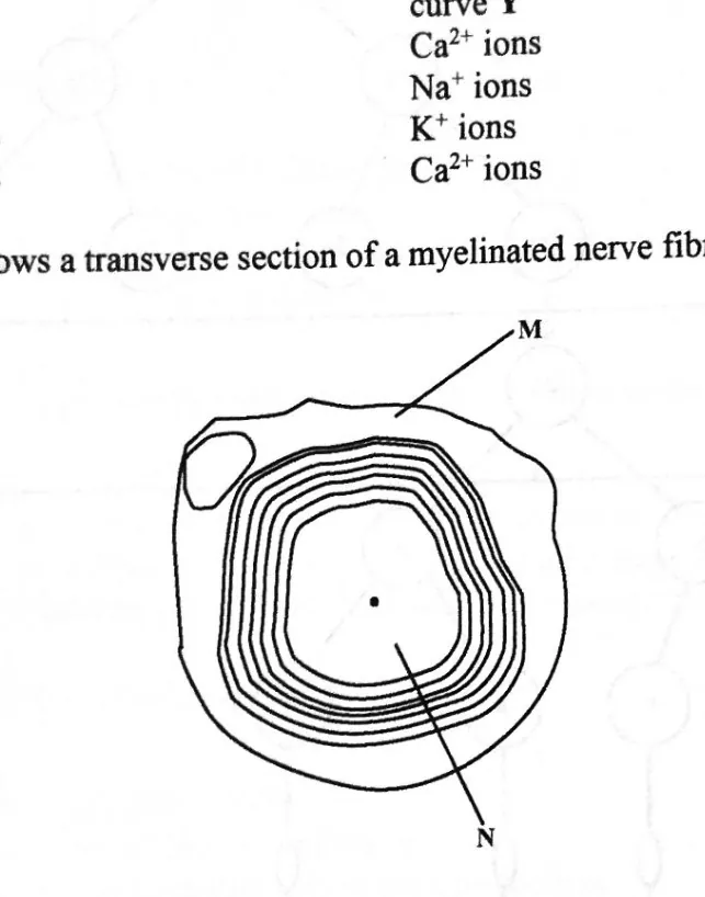 Diagram for Biology Paper 1 November 2023 Question 33