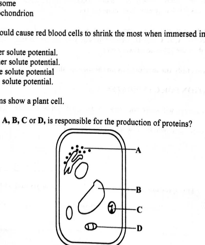 Diagram for Biology Paper 1 November 2023 Question 5