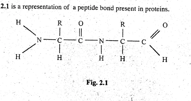 Diagram for Biology Paper 2 November 2003 Section A, Question 2