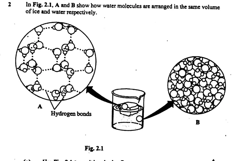 Diagram for Biology Paper 2 June 2004 Section A, Question 2
