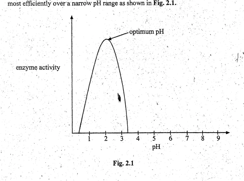 Diagram for Biology Paper 2 November 2004 Section A, Question 2