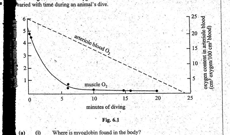 Diagram for Biology Paper 2 November 2004 Section A, Question 6