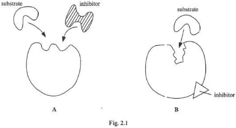 enzyme inhibition - ZIMSEC Biology past paper diagram