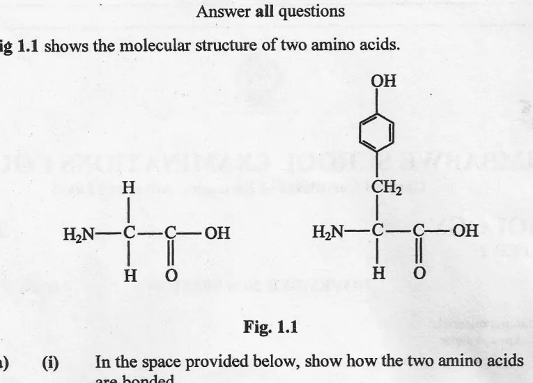 amino acids and protein structure - ZIMSEC Biology past paper diagram