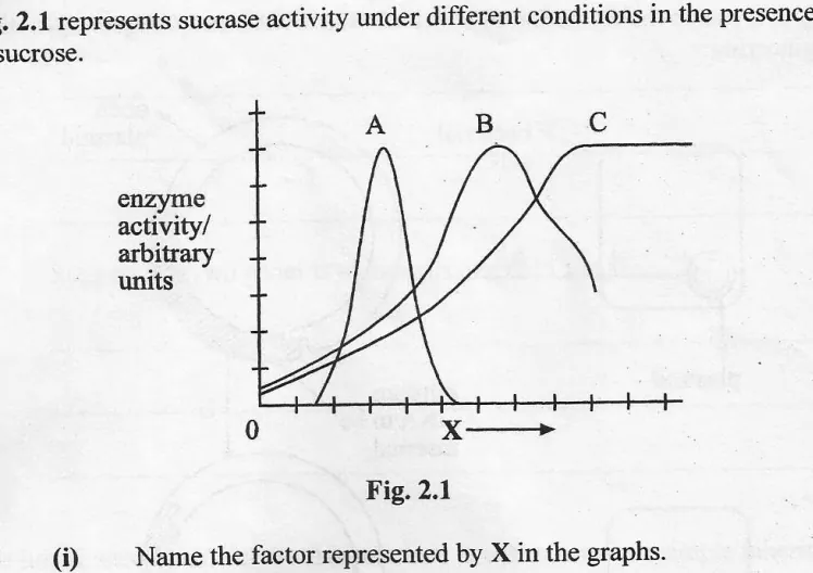 Diagram for Biology Paper 2 November 2006 Section A, Question 2