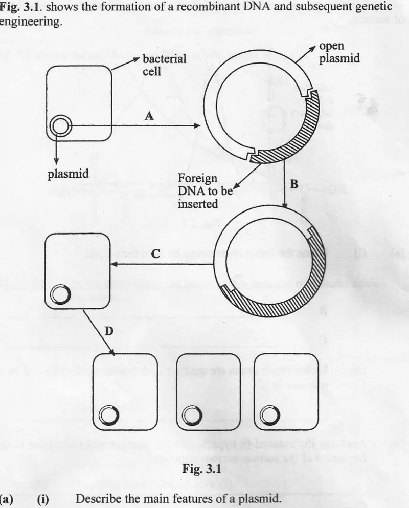Diagram for Biology Paper 2 November 2006 Section A, Question 3