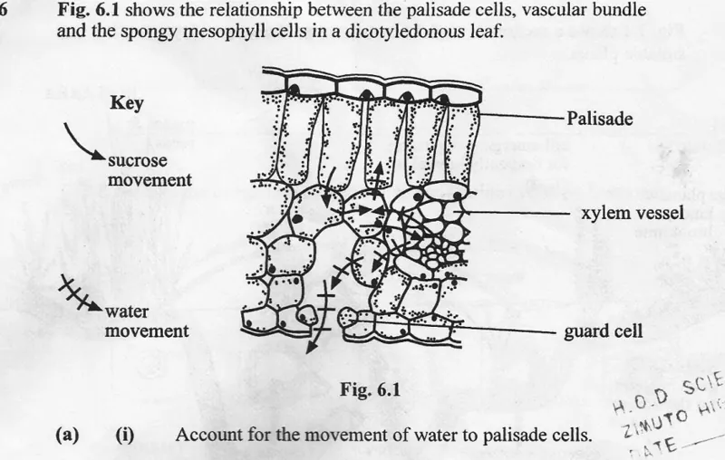 Diagram for Biology Paper 2 November 2006 Section A, Question 6