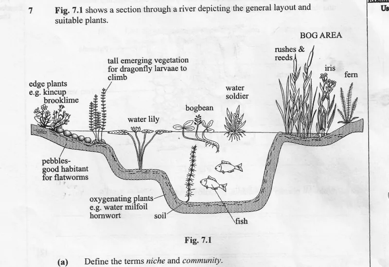 Diagram for Biology Paper 2 November 2006 Section A, Question 7