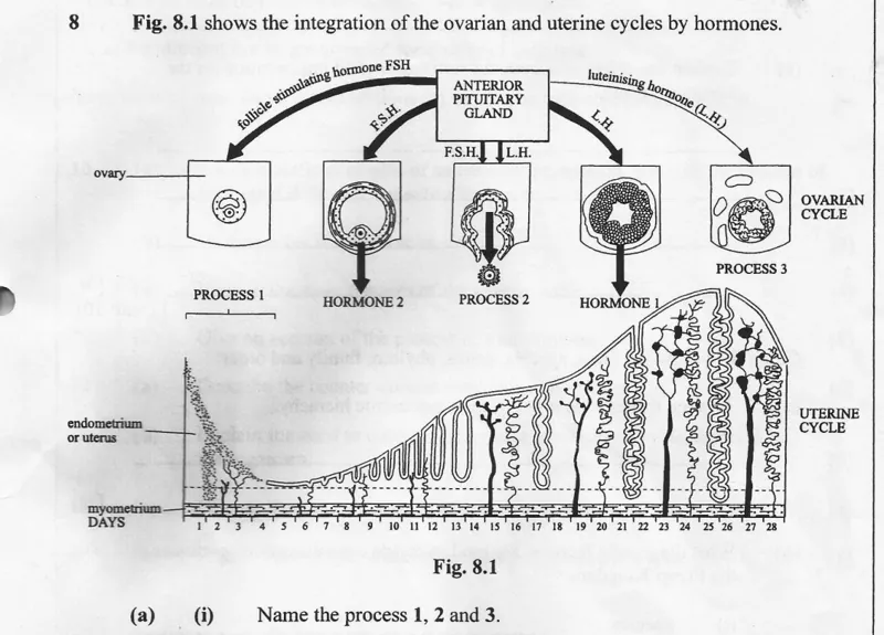 Diagram for Biology Paper 2 November 2006 Section A, Question 8