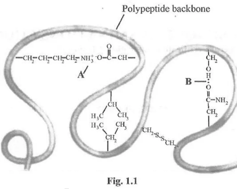 Diagram for Biology Paper 2 November 2009 Question 101