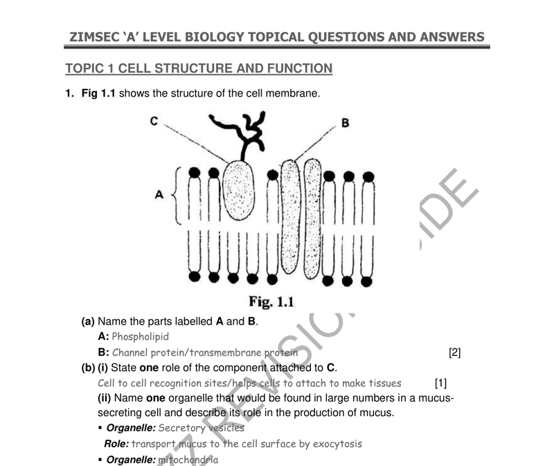 cell structure and function - ZIMSEC Biology past paper diagram