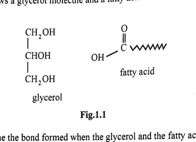 Diagram for Biology Paper 2 November 2023 Question 103