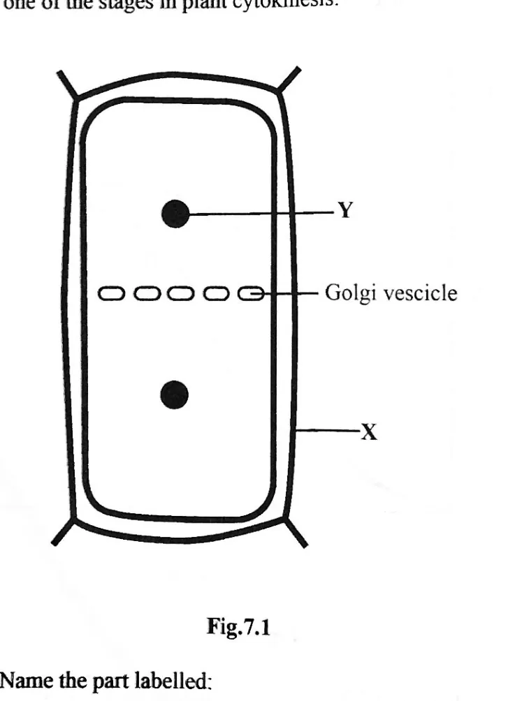 Diagram for Biology Paper 2 November 2023 Question 701